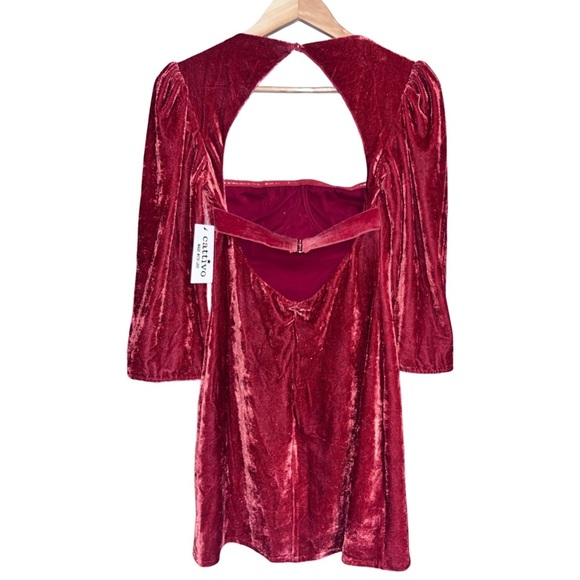 NWT For Love & Lemons Nadine Velvet Bustier Mini Dress in Rust - Picture 8 of 8